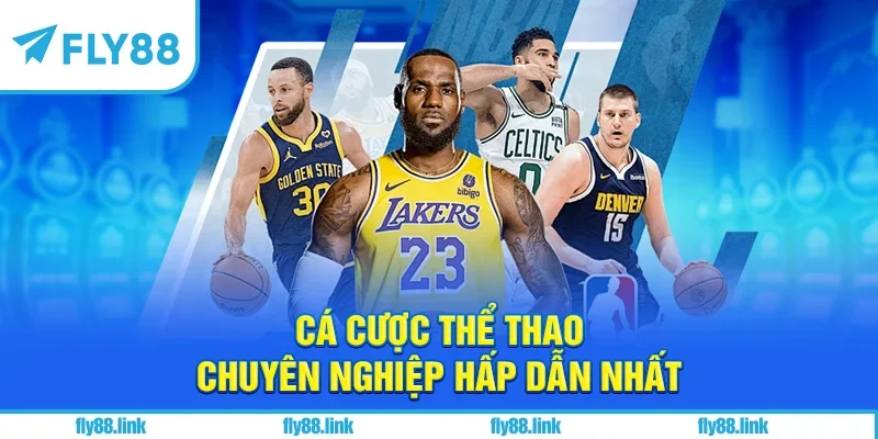 Cá cược thể thao chuyên nghiệp hấp dẫn nhất