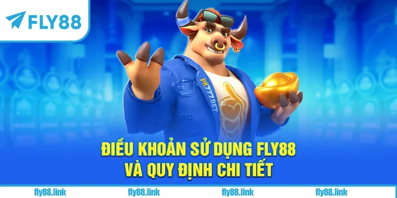 Điều khoản sử dụng FLY88 và quy định chi tiết