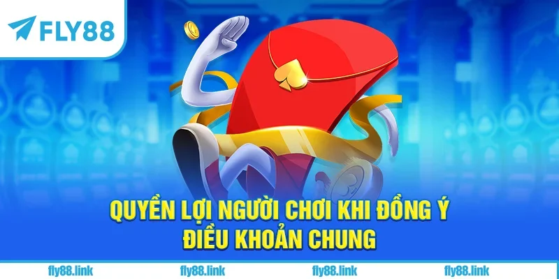 Quyền lợi người chơi khi đồng ý điều khoản chung